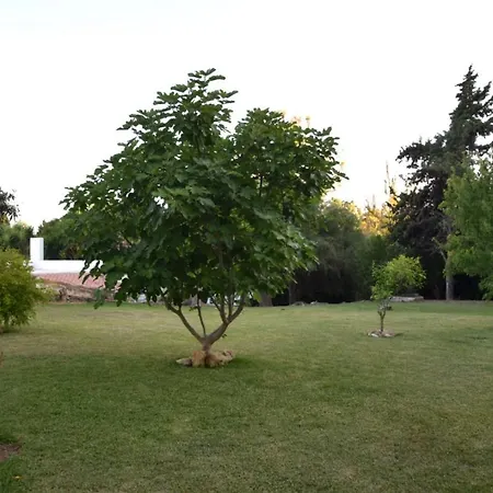 Casa Therese * Marbellac